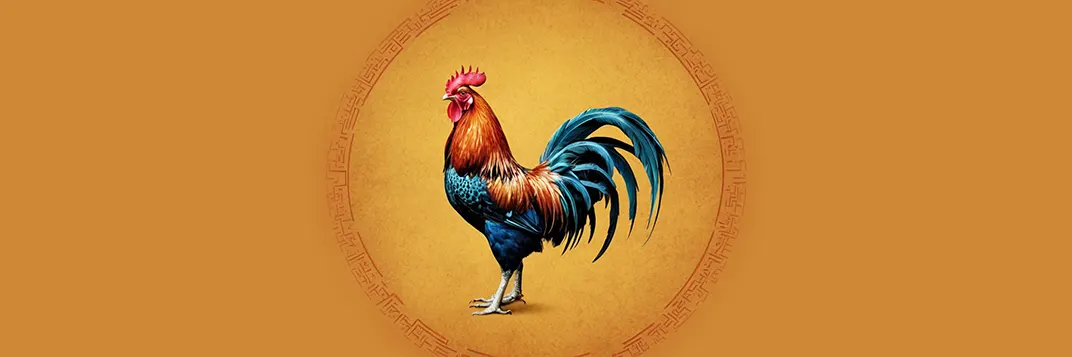 Rooster in 2024